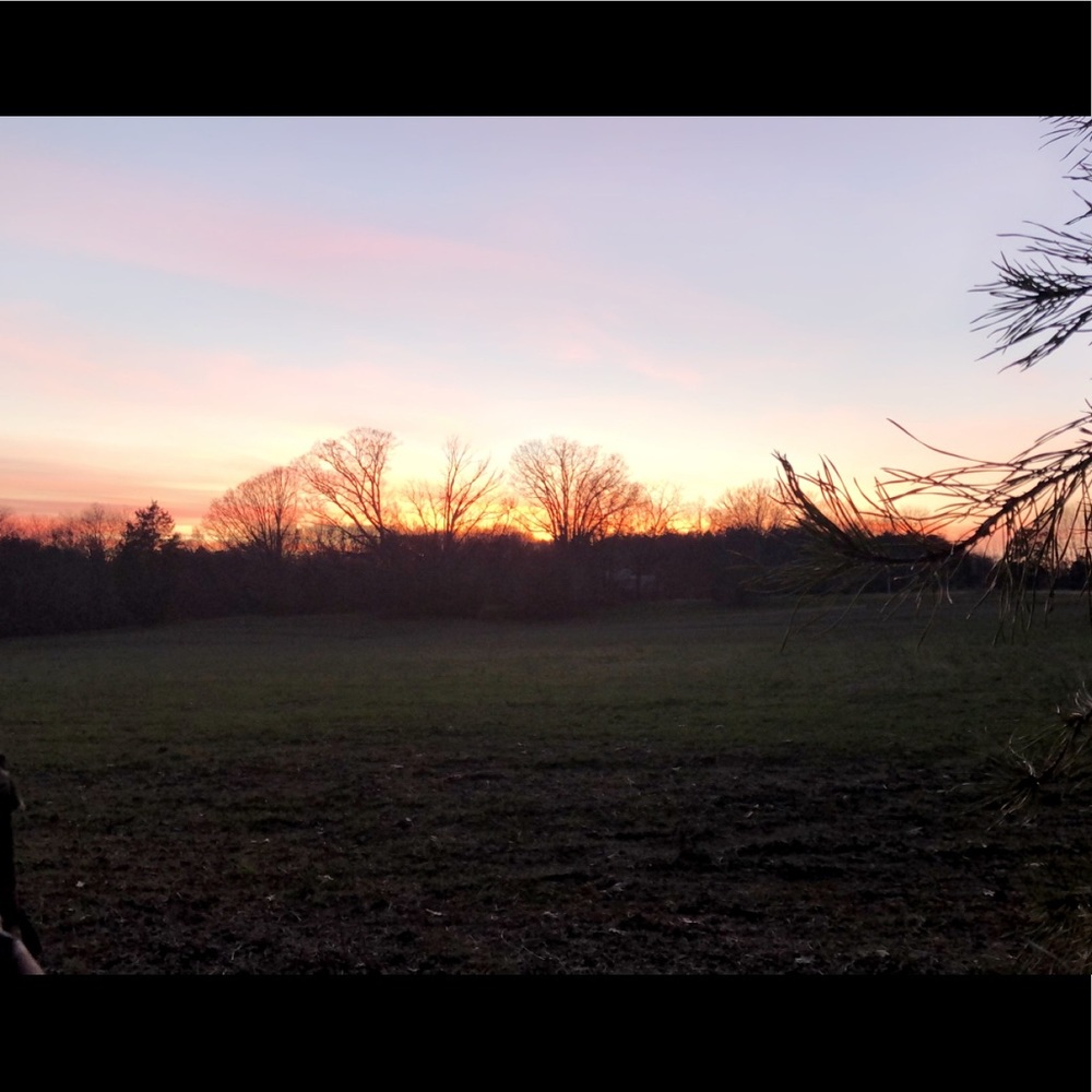 Meet your Posher, Sadie